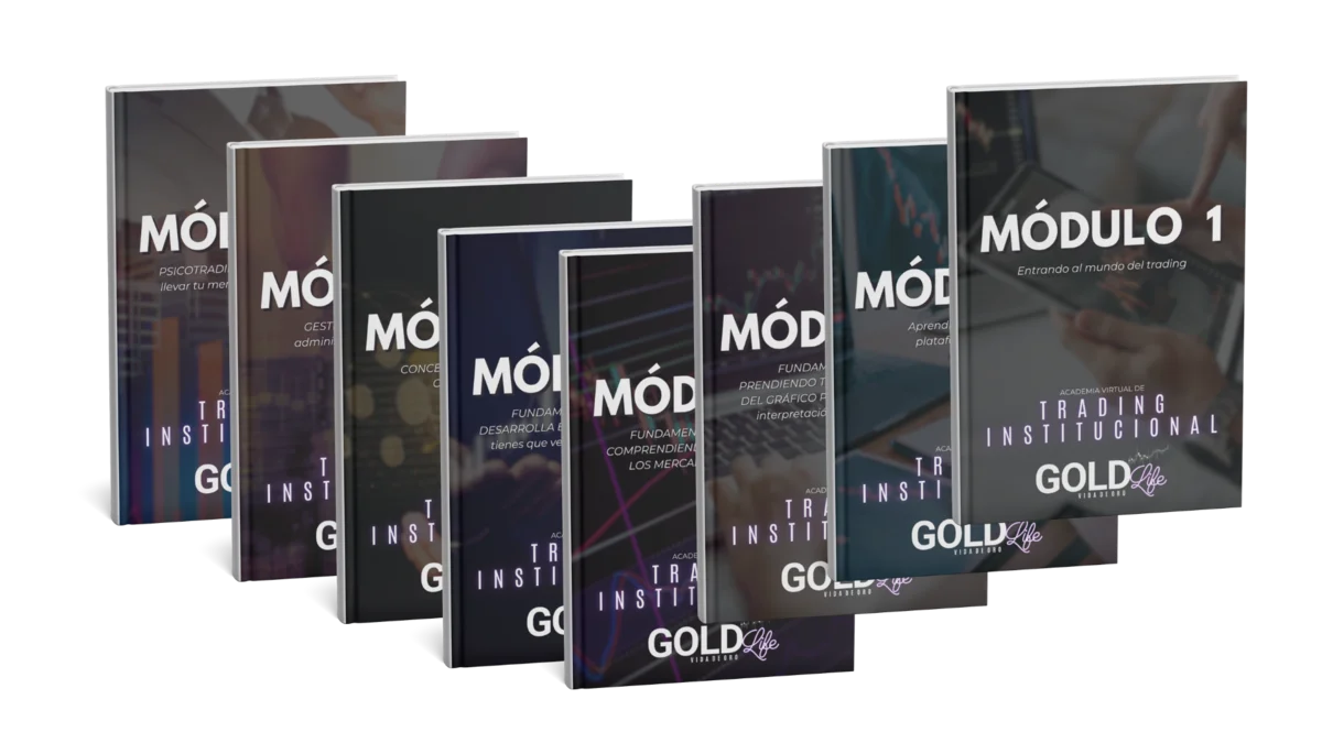 8 Módulos de INVESTORS